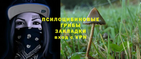 меф Алексин